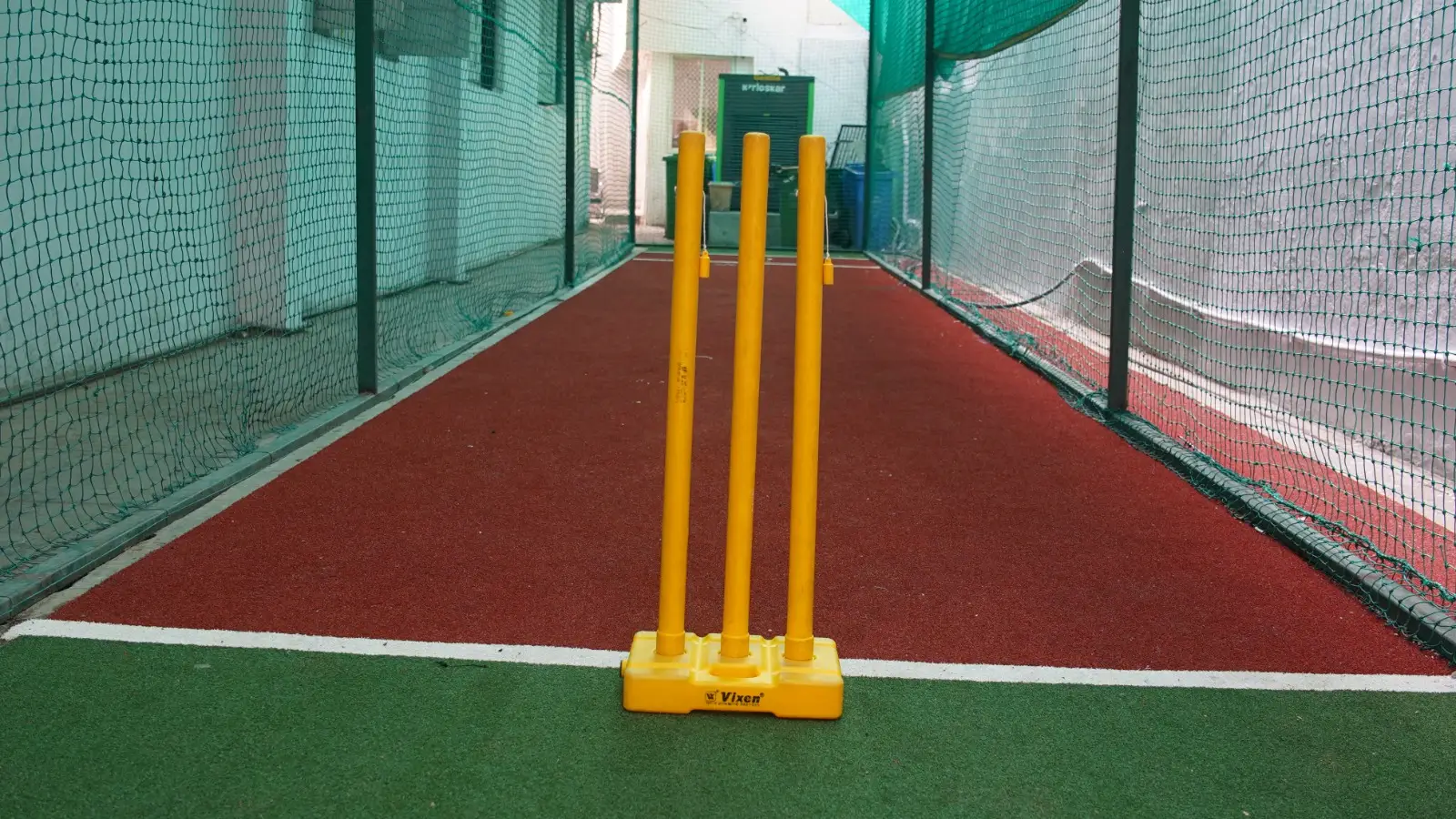 Cricket